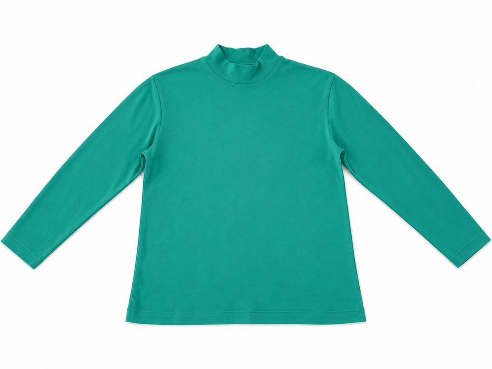 Saddlebred Women’s Large Teal Mock Neck Long Sleeve Pullover Top